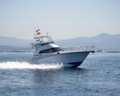 Rodman 1290 Fisher Pro