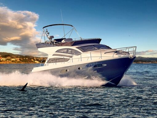 Rodman MUSE 44
