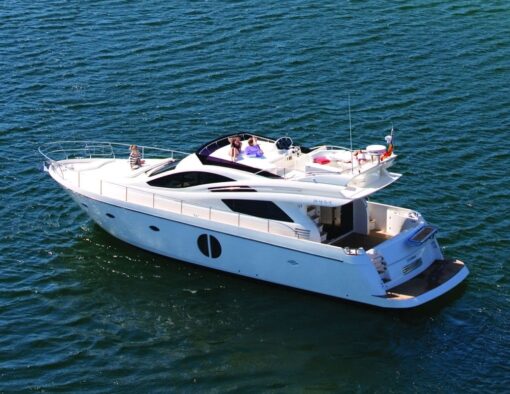Rodman MUSE 54