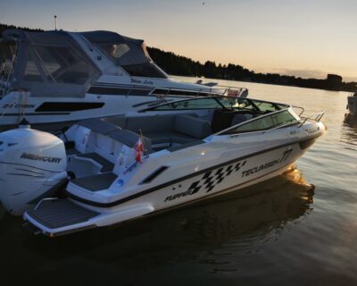 Vella Bennet Flipper 800 DC