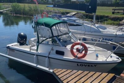 Bayliner Trophy 1802