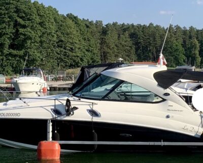 Sea Ray 305 2013