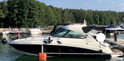 Sea Ray 305 2013