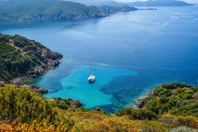 Catamaran in the bay