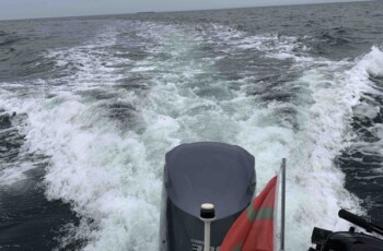 Bayliner 2459 Trophy 31