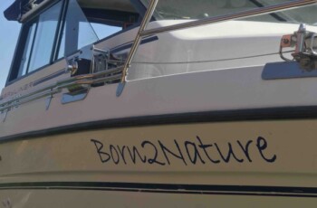 Bayliner 2459 Trophy 7