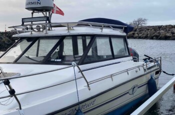Bayliner 2459 Trophy 6