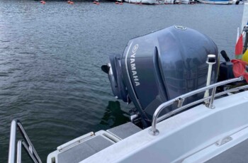 Bayliner 2459 Trophy 30