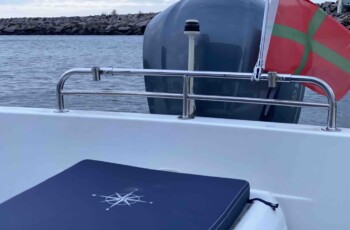 Bayliner 2459 Trophy 17