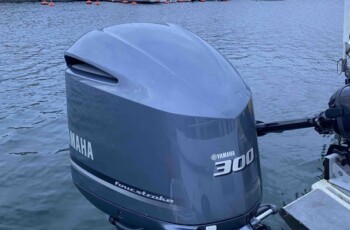 Bayliner 2459 Trophy 20