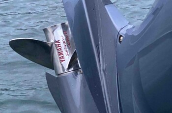 Bayliner 2459 Trophy 24