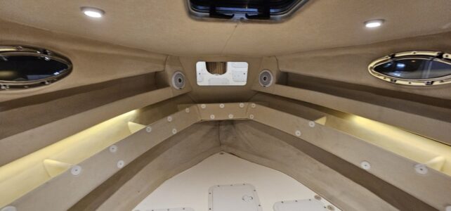 Coral 750 Sport Cruiser 28