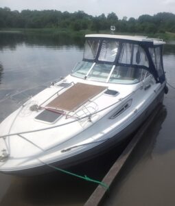 Rinker Fiesta Vee 260 3