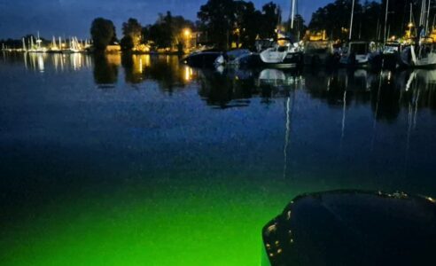 Jeanneau Merry Fisher 755 13