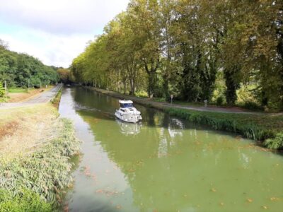 Northman Nexus Revo 870 19