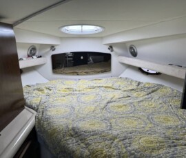 Cruisers Yachts 310 Express 19