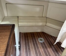 Cruisers Yachts 310 Express 9