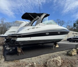 Cruisers Yachts 310 Express 3