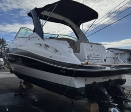 Cruisers Yachts 310 Express 7