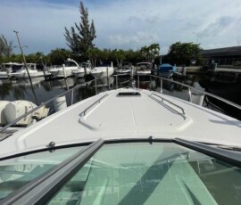 Chaparral 310 Signature 6