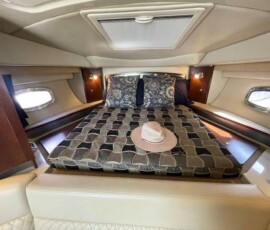 Chaparral 310 Signature 9