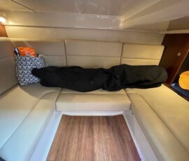 Chaparral 310 Signature 13