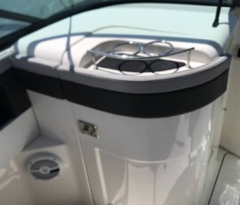 Sea Ray 240 Sundeck 22