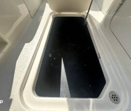 Chaparral 230 Suncoast Deluxe 19