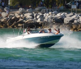 Stingray 231DC 2