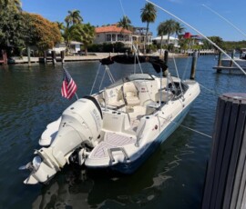 Stingray 231DC 12