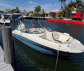 Stingray 231DC 13
