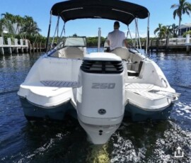 Stingray 231DC 6