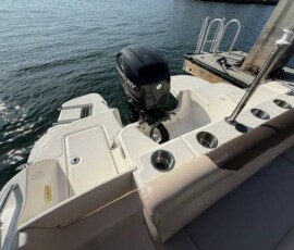 Bayliner 210 7