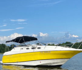 Regal 2765 4
